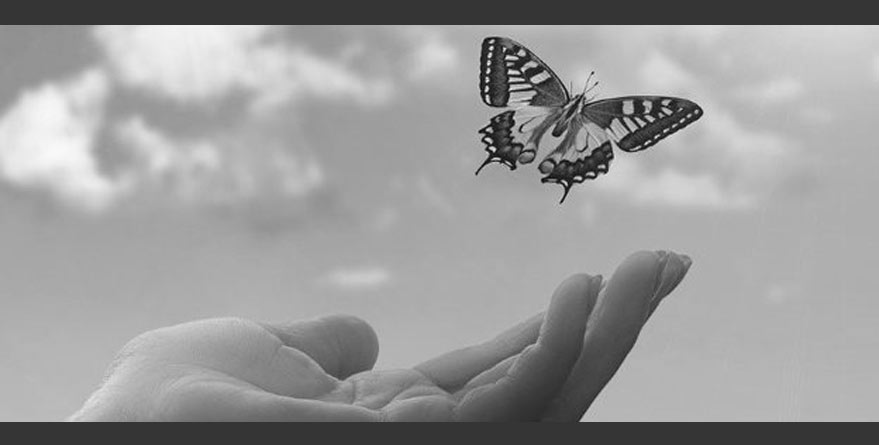 Transcend Awards Emotional Skills Mastery